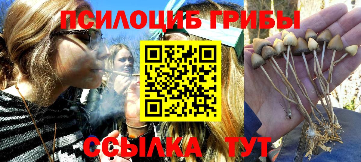 Галлюциногенные грибы Psilocybe  Вход с VPN  Ликино-Дулёво 